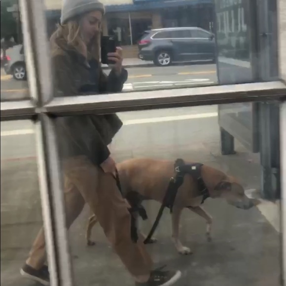 Meet your Posher, Sam - Picture 1 of 1